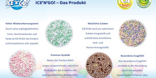 ICENGO!-Praesentation-5.jpg
