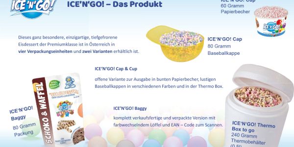ICENGO!-Praesentation-8.jpg